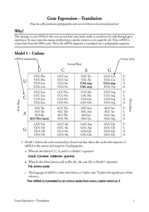 Gene Expression - Translation