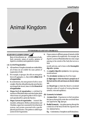 Animal Kingdom