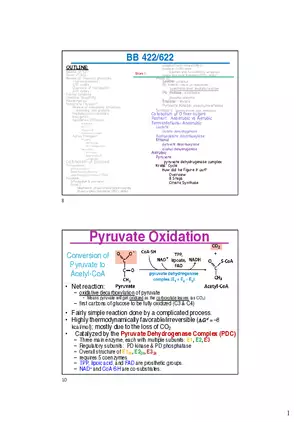 10 TCA Cycle V2026