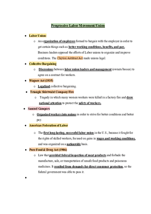 United States History Progressive Labor Movement-Union