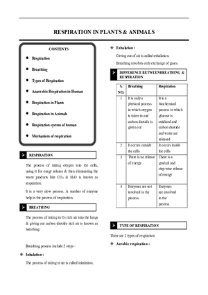 Respiration in Plants & Animals