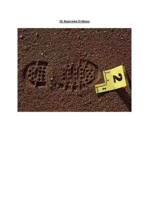 10. Impression Evidence