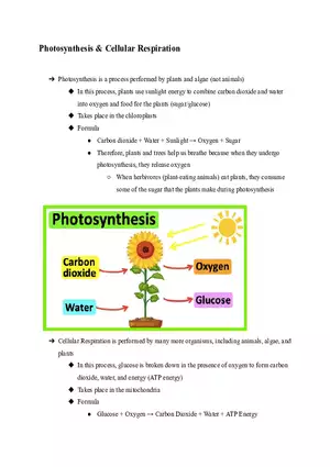 Photosynthesis & Cellular Respiration