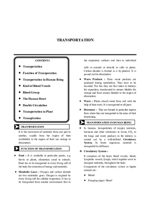 Transportation Notes