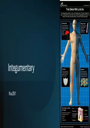 Integumentary Lecture 2026