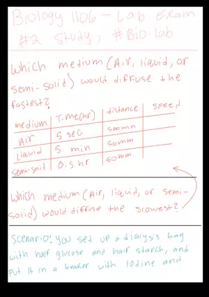 Biology 1106 - Lab Exam