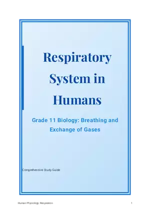 Respiratory System in Humans Grade 11