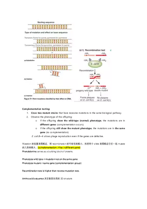 Exam #2 - Cheat Sheet