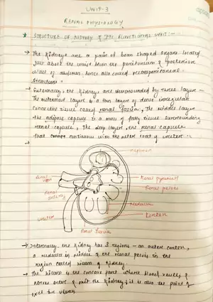 Unit 19-3 Renal Physiology