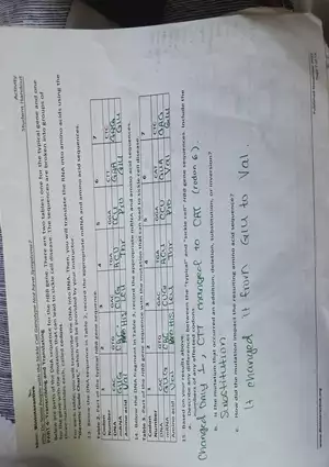 Part 4: Transcribing And Translating