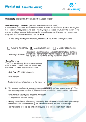 Worksheet Shoot the Monkey