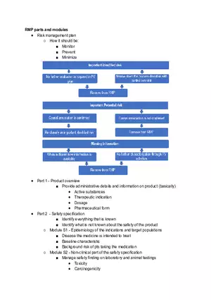 Risk Management Plan Parts and Modules