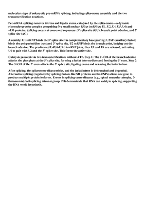 Eukaryotic pre-mRNA