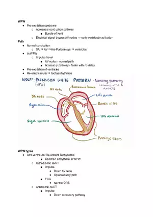 Wolff-Parkinson-White syndrome