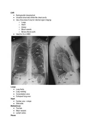 Chest X-ray (CXR)