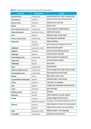 Assignment #5 Dissection Structures