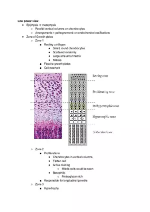 Bony Transision