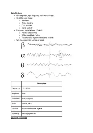 Beta Rhythms