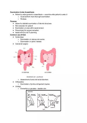 Examination Under Anaesthesia