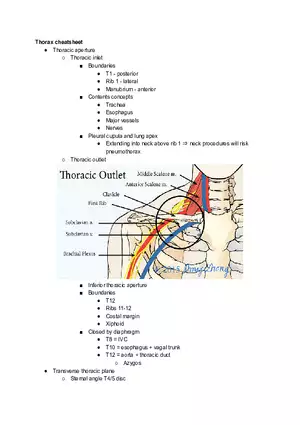 Thorax Cheatsheet