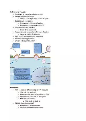 Antiretrovial Therapy