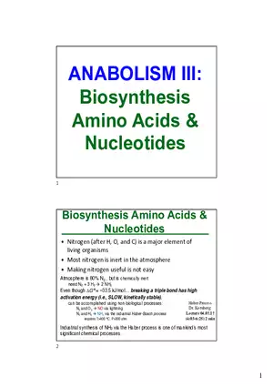 Anabolism III: Biosynthesis Amino Acids & Nucleotides
