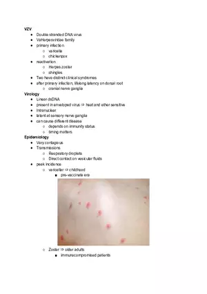 VZV Lecture Notes