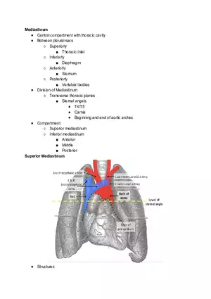 Mediastinum and Pericardiums