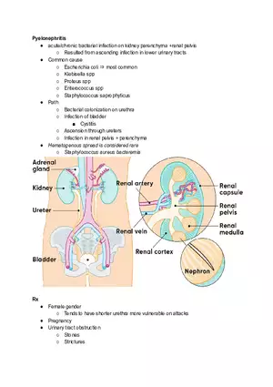 Pyelonephritis