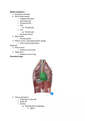 Meidastinum OSCE