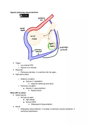 Pulmonary Circulation and Vasoconstriction