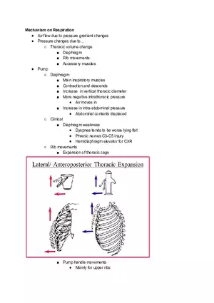 Mechanism on Respiration