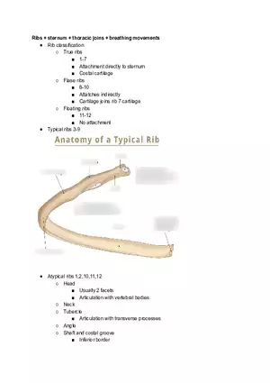 Ribs Sternum Thoracic Joins and Breathing movements
