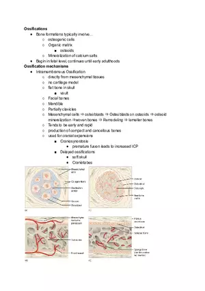 Ossifications Lecture Note