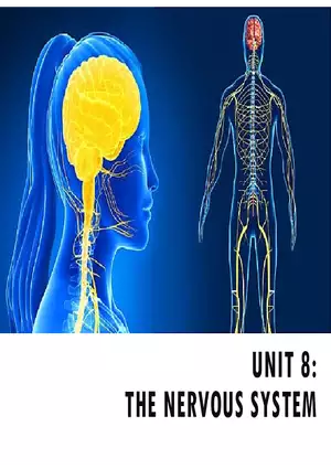 Unit 8 Seminar - The Nervous System