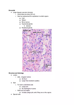Sinusoids Cheat Sheet