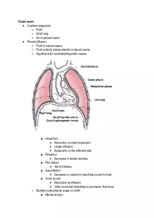 Chest Exam