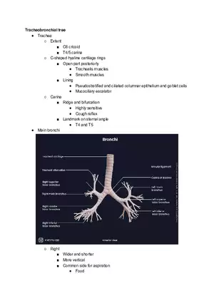 Tracheobronchial Tree