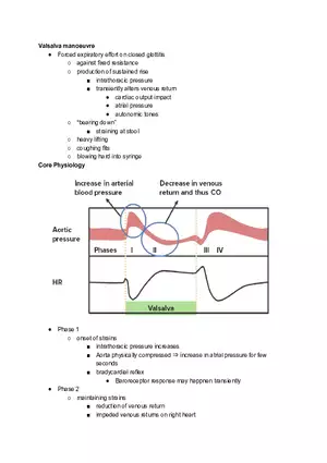 Valsalva Manoeuvre