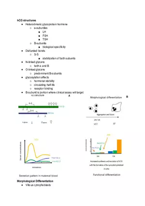 HCG Differentiation
