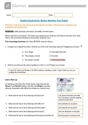 Student Exploration: Mouse Genetics (Two Traits)