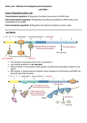Methods of Investigating Gene Expression