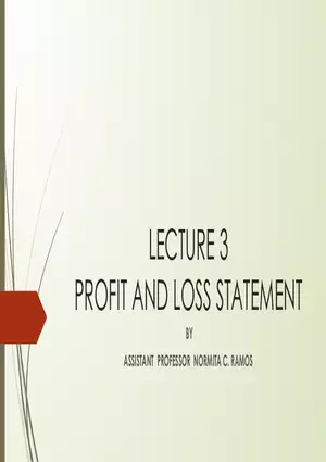 Lecture 3: Profit And Loss Statement