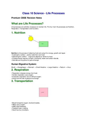 Class 10 Science - Life Processes