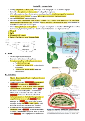 Topics 23: Photosynthesis
