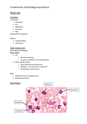 Blood Cells - Functions