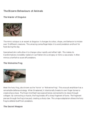 The Bizarre Behaviours of Animals-compressed