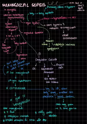 Notes Meningococcal Sepsis