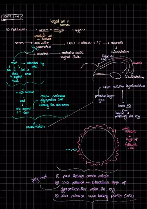Basic Embryology Notes