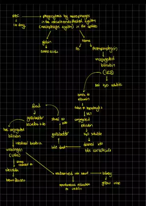 Causes of Jaundice
